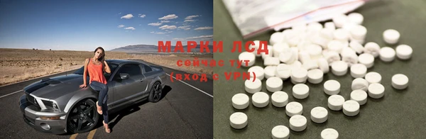 PSILOCYBIN Алексеевка