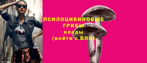 наркотики Алексин