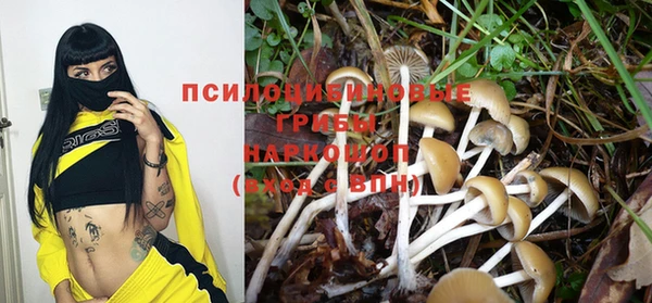 PSILOCYBIN Алексеевка