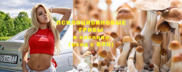 наркотики Алексин